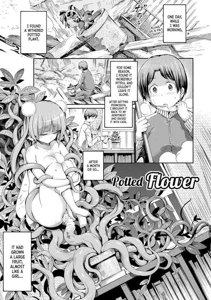 Naruto Hachi no Ue no Flower | Potted Flower Older Sister