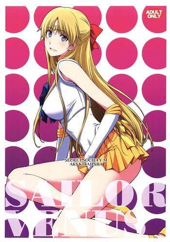 Milf Hentai SAILOR VENUS- Sailor moon hentai Relatives